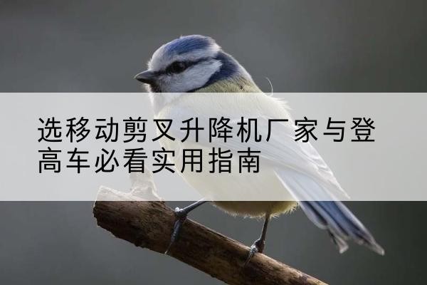 三门峡电动升降机厂家-选移动剪叉升降机厂家与登高车必看实用指南
