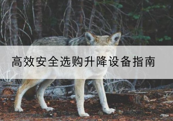 三门峡升降货梯厂家推荐-*安全选购升降设备指南
